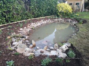 Wildlife Pond - Taunton