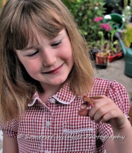 Moths are a great way to introduce children to the importance of wildlife and insects. This is a picture from one of our Moth-Surveying Events in North Somerset.