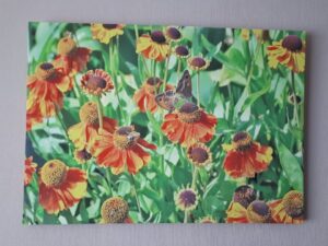 Large Canvas Prints - Gatekeepers on Helenium