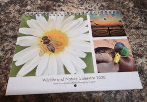 2020 Calender