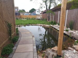 Wildlife Pond - Bridgwater
