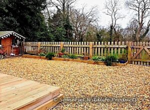 Garden makeover - Congresbury