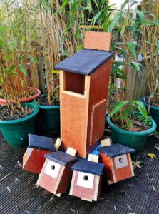 Tawny Owl Box