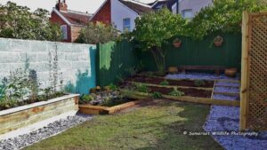 Garden makeover - Weston-super-Mare