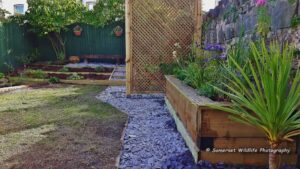 Garden makeover - Weston-super-Mare