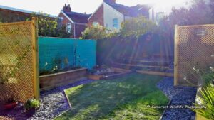 Garden makeover - Weston-super-Mare