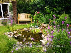 Garden Re-design into Wildlife garden - Withywood, Bristol