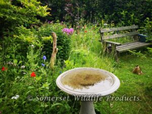 Garden Re-design into Wildlife garden - Withywood, Bristol