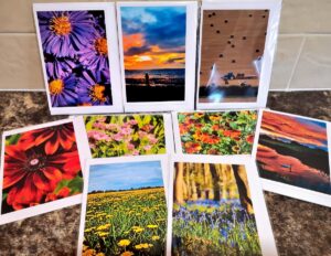Greeting cards - Flowers and Landscape Selection