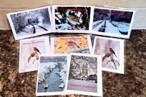 Greeting Cards - Christmas Selection