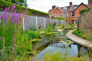 Wildlife Pond - Bridgewater
