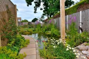 Wildlife Pond - Bridgewater