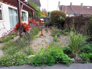 A quaint cottage garden managed by us.