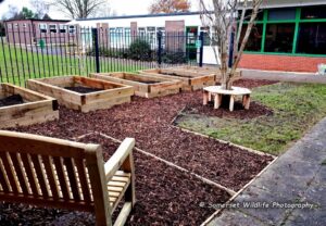 One of two gardens built for a local school