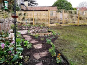Stepping Stone pathway leading to seating area with wildlife pond and wildlife friendly planting. In Yatton, North Somerset