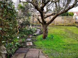 Stepping Stone pathway leading to seating area with wildlife pond and wildlife friendly planting. In Yatton, North Somerset