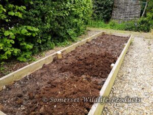 Neglected raised Beds in need of plants, can we help!???... Yatton, North Somerset