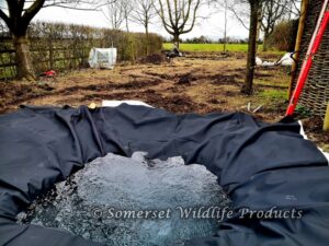 Work in progress on the 'Woodland Garden' project in Yatton, North Somerset