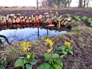 The second pond in our 'woodland garden' design. Yatton, North Somerset