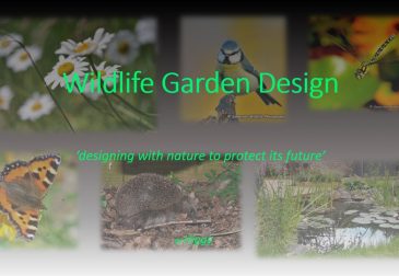 Wildlife Garden Design Presentation
